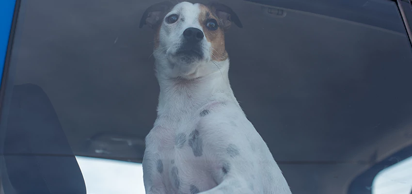 Car Lockout Solutions in Carmichael, California