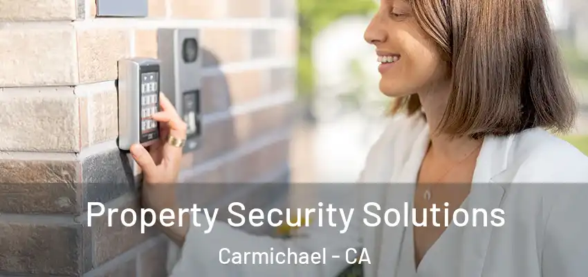 Property Security Solutions Carmichael - CA